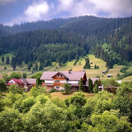 Pensiunea Casa-Stefanel Sadova  Kültér fotó